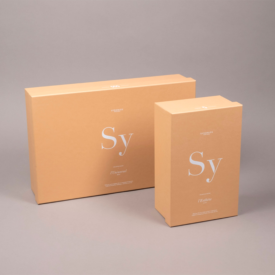 sydonios_int1001_3