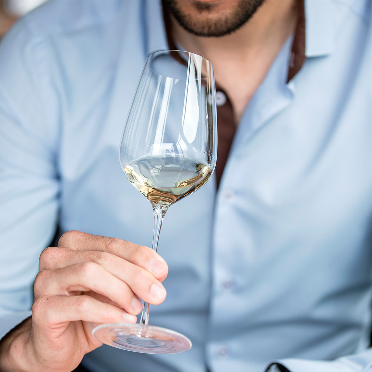 Sydonios_universel_6