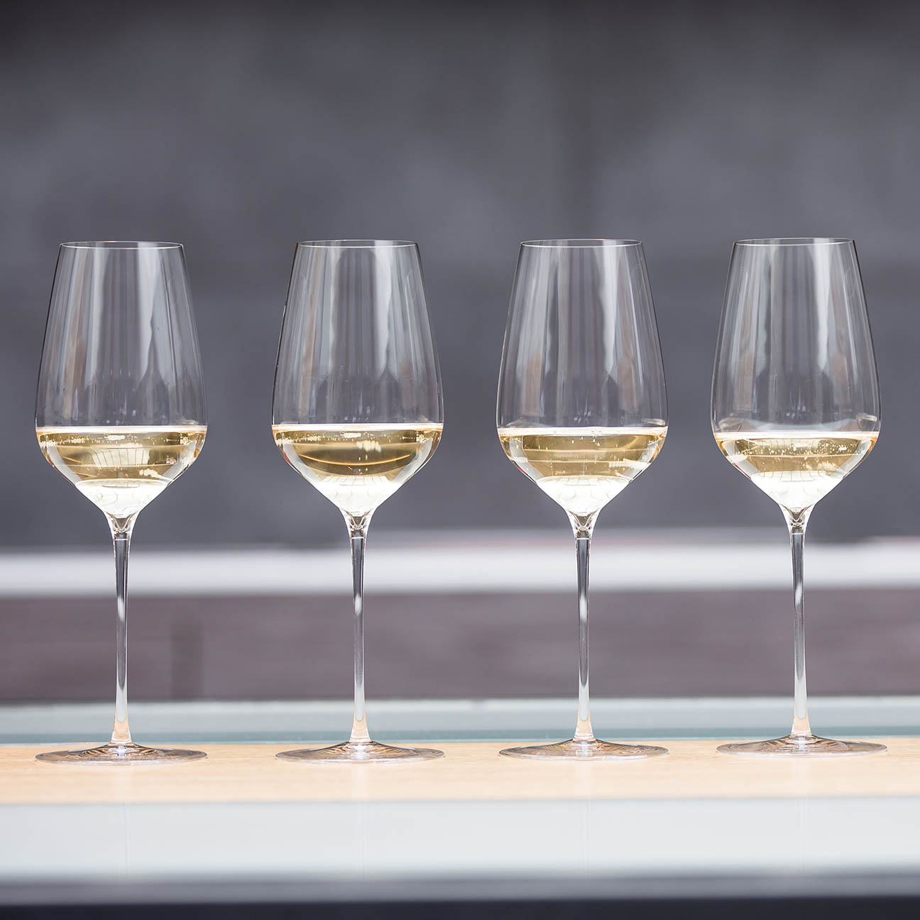 Sydonios_universel_7