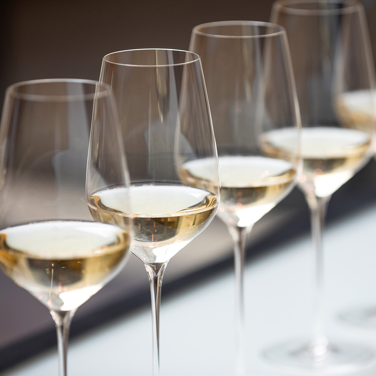 Sydonios_universel_8