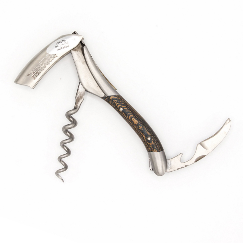 Laguiole_En_Aubrac_SOM99PYBI_LSB1_2